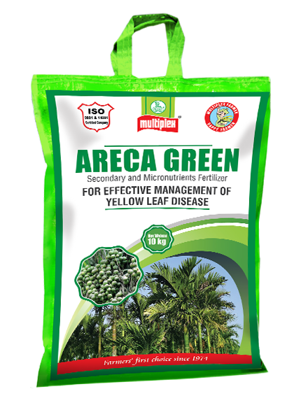uploads/images/prod/ARECA GREEN.png